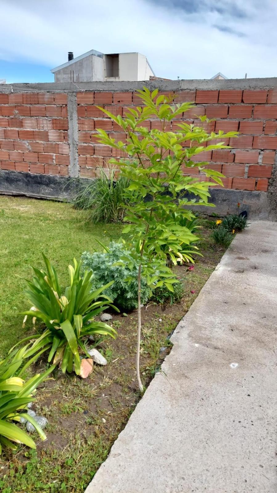 Habitacion Privada En La Casa De Thor Trelew Exteriör bild