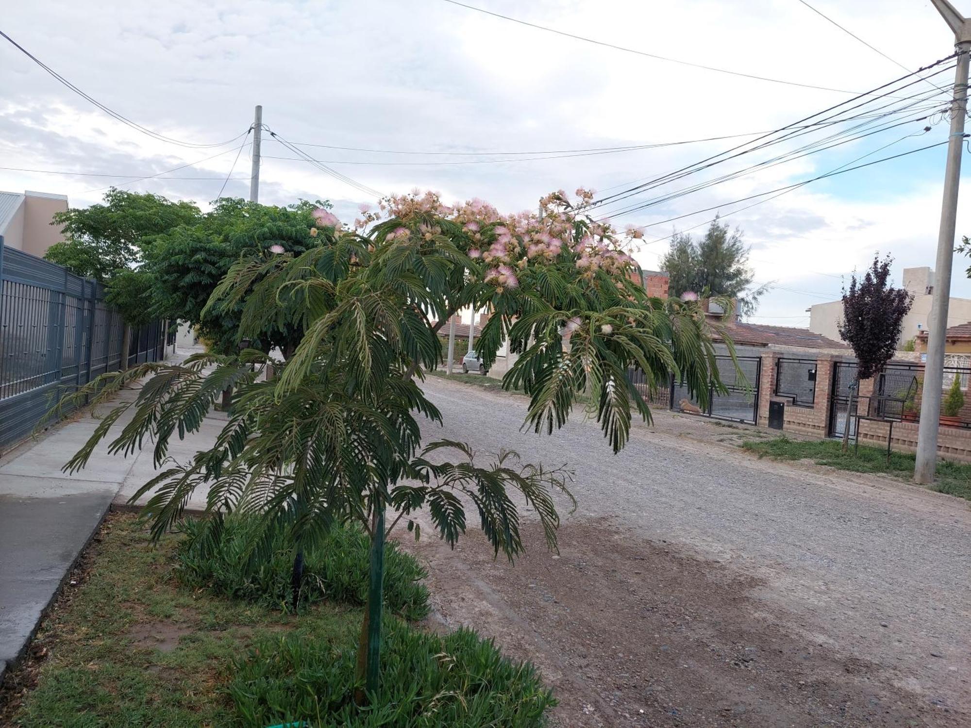 Habitacion Privada En La Casa De Thor Trelew Exteriör bild