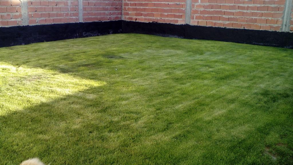 Habitacion Privada En La Casa De Thor Trelew Exteriör bild